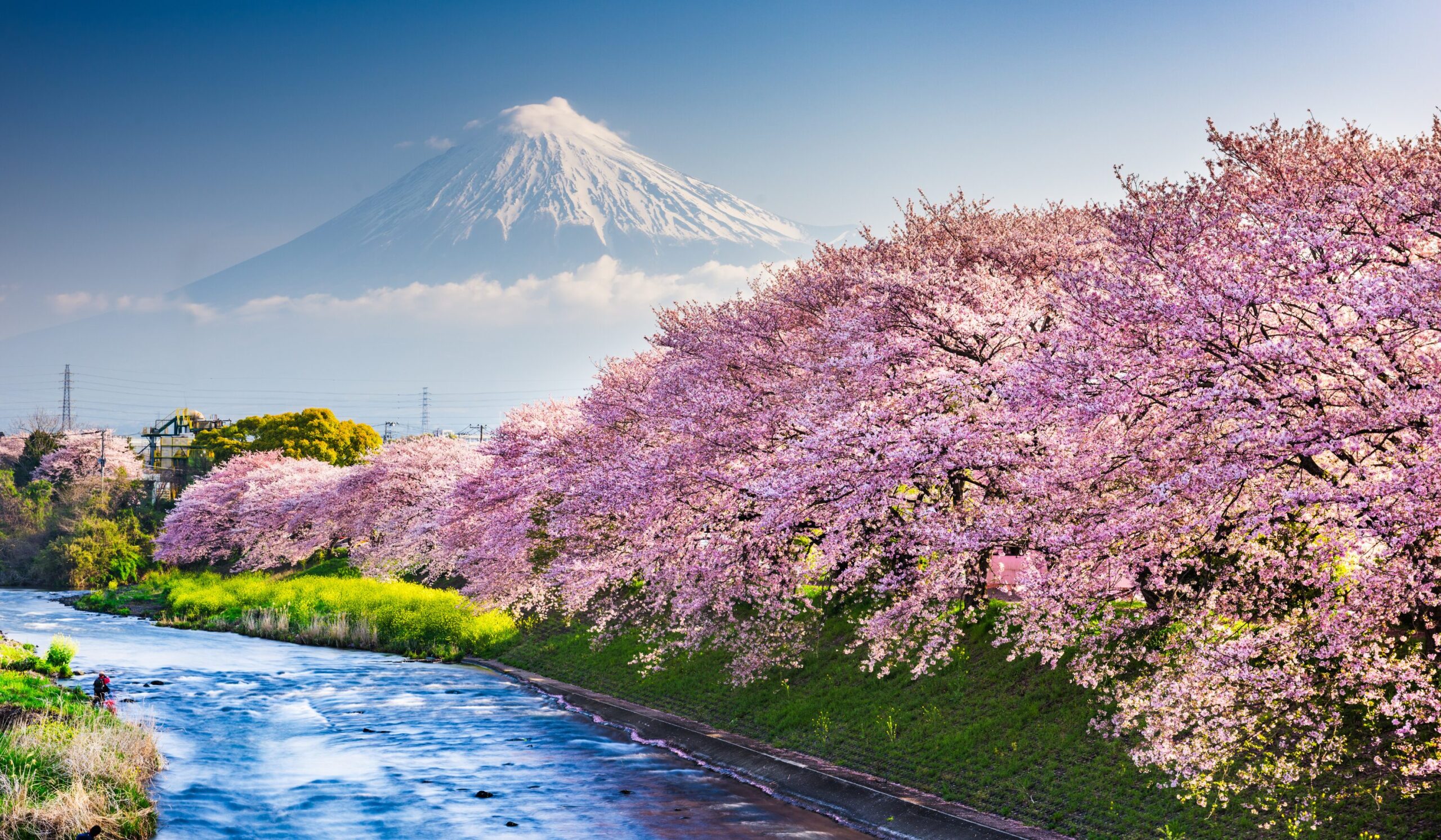 Shizuoka Guide: Fuji & Tea / 富士山とお茶の旅 - WANOKOE